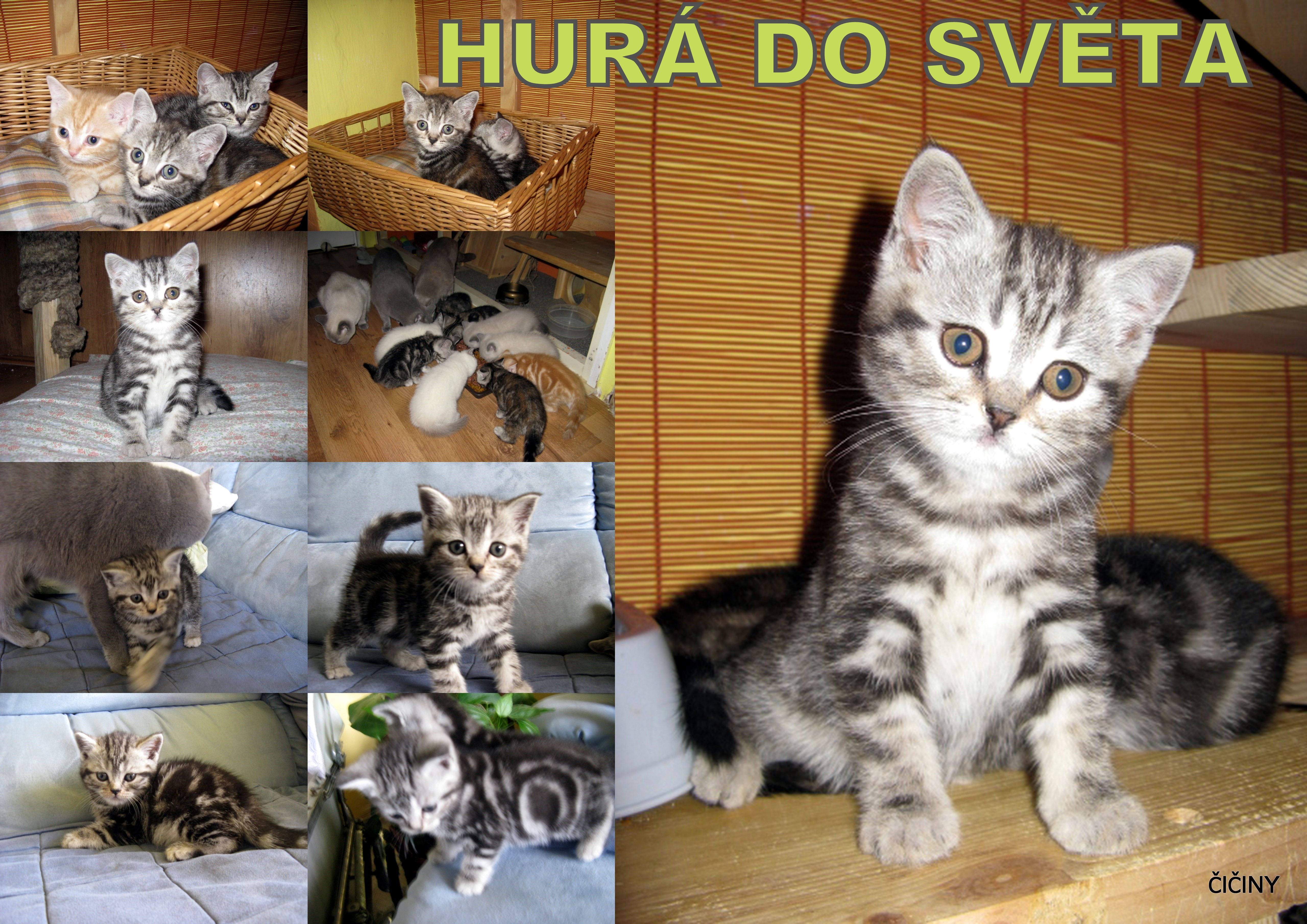 hurá do světa.jpg